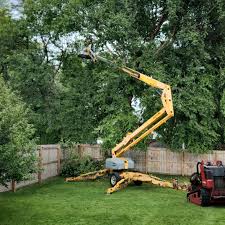 Best Lawn Mowing  in Watsontown, PA