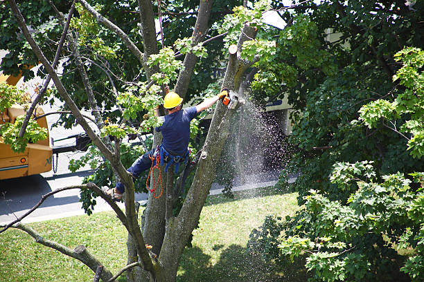 Lawn Edging in Watsontown, PA